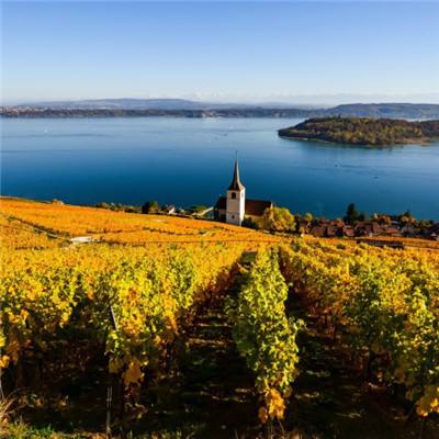 bandao全站体育下载